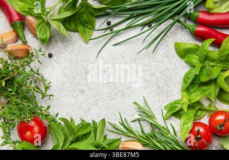 Kulinarische Kräuter und Gewürze in einer Rahmenkomposition angeordnet, die Kopierraum auf einem grauen strukturierten Hintergrund bietet Stockfoto