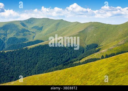 Grüne Hänge des Borzhava-Berges im Sommer. Malerische Landschaft der karpaten an einem sonnigen Tag Stockfoto