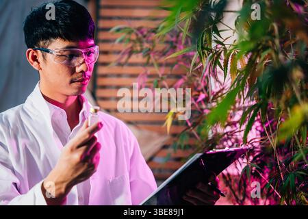 Marihuana-Forscher asiatischer Mann, der eine Brille trägt und eine Fläschchenflasche und ein Clipboard hält, um es zu überprüfen Stockfoto