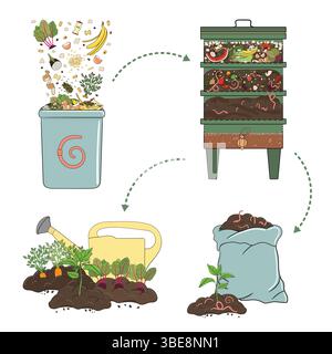 Schema zur Verwertung von organischen Abfällen aus der Sammlung von Küchenabfällen zur Verwendung von Vermicompost und Komposttee für die Gartenarbeit. Recycling organischer Abfälle. Keine Wast Stock Vektor