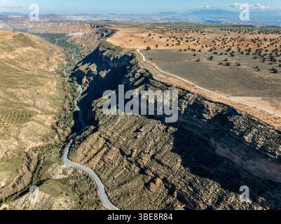 Canyons und Schluchten, die ins Land geschnitten sind, aus der Luft, Drohnenschuss, Gorafe-Wüste, UNESCO-Geopark Granada, Provinz Granada, Andalusien, Spanien Stockfoto
