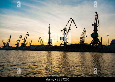 Silhouetten von Kranichen im Seehafen bei Sonnenuntergang. Stockfoto