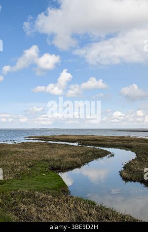 Salzwiesen... Wattenmeer * Cuxhaven-Duhnen * mit Blick auf Neuwerk, Nordseeküste im Niedersächsischen Wattenmeer, Naturlandschaft an der Nordsee. Stockfoto
