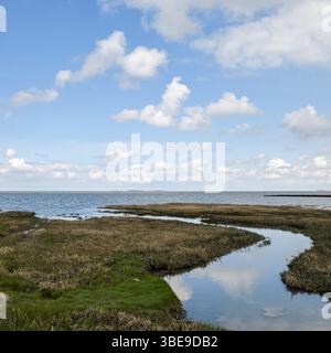 Salzwiesen... Wattenmeer * Cuxhaven-Duhnen * mit Blick auf Neuwerk, Nordseeküste im Niedersächsischen Wattenmeer, Naturlandschaft an der Nordsee. Stockfoto