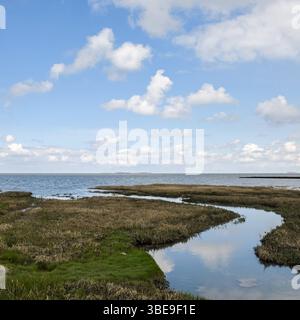 Salzwiesen... Wattenmeer * Cuxhaven-Duhnen * mit Blick auf Neuwerk, Nordseeküste im Niedersächsischen Wattenmeer, Naturlandschaft an der Nordsse, Norddeuschland, Europa *** Salzmoore... Wattenmeer * Cuxhaven-Duhnen * mit Blick auf Neuwerk, Nordseeküste im Niedersächsischen Wattenmeer, Naturlandschaft an der Nordsee, Norddeutschland, Europa Niedersachsen Deutschland, Europa Stockfoto