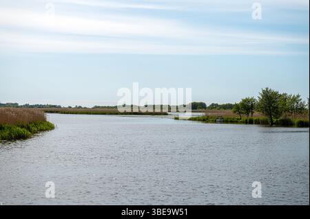 An einem sonnigen Tag in der Natur fließt ein friedlicher Fluss sanft durch die lebendige Vegetation. Stockfoto