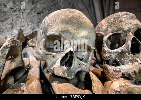 Menschliche Schädel und menschliche Knochen in der Krypta in St. Leonard's Church Hythe, Kent, Großbritannien Stockfoto