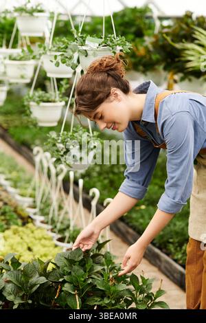 Eine glückselige Frau, die in einem lebendigen Gewächshaus voller Sonnenlicht zu üppigem Grün neigt Stockfoto
