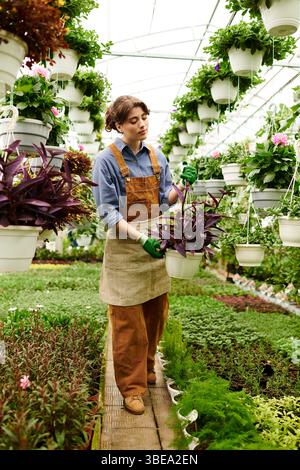 Eine engagierte Gärtnerin pflegt ihre Pflanzen in einem üppigen Gewächshaus und taucht in Glückseligkeit. Stockfoto