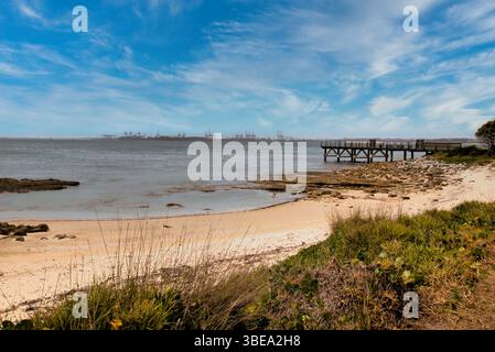 Botany Bay Beach mit den Derricks und Kranichen von Port Botany in der Ferne, Sydney, New South Wales, Australien, Stockfoto