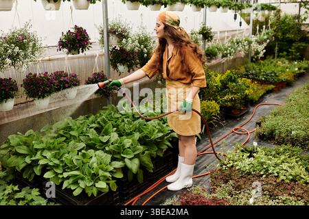 Eine fröhliche Gärtnerin pflegt ihre blühenden Pflanzen im Gewächshaus, gekleidet mit Schürze und Kopftuch. Stockfoto