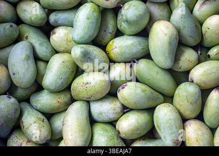 Ein Haufen frischer grüner Mangos, Nahaufnahme Stockfoto