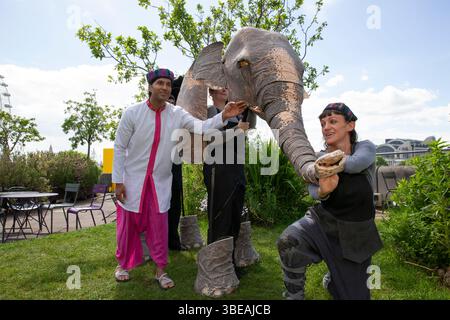 London, Großbritannien. Mai 2025. Janu, eine Marionette eines Teenager-Elefanten, machte einen Ausflug zum Dachgarten der Queen Elizabeth Hall auf der Southbank. Mit dem Schauspieler Adi Chugh starren Janu und ihre älteren und jüngeren selbst im Rahmen des Halbzeit-Entertainments-Angebots auf den verschwindenden Elephant. Die von Helen Foan entworfene Puppe wird von Iris Schmid (Kopf) mit Katriona Brown und Sean Garratt besetzt. Die Show läuft bis 1. Juni. Quelle: Anna Watson/Alamy Live News Stockfoto