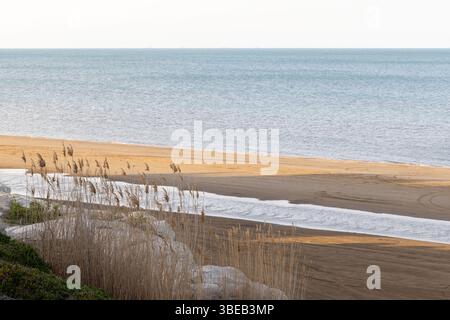 Ruhiger Blick auf eine ruhige Küste, mit einem breiten Sandstrand, ruhigem Kaspischen Meer und trockener Vegetation im Vordergrund unter weichem Tageslicht Stockfoto