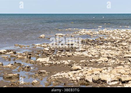 Blick auf die Küste des Kaspischen Meeres. Felsiger Strand mit flachem Wasser, das sich unter wolkenlosem blauem Himmel zum Meer hin erstreckt, vermittelt Ruhe Stockfoto