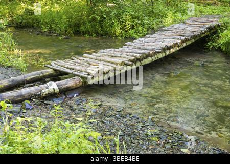 Holzbrücke über einen kleinen Fluss-Wald Stockfoto