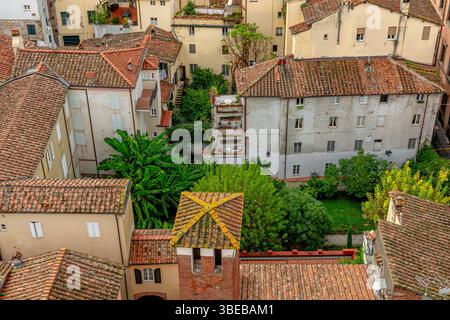 Dächer und Gebäude der Stadt Lucca, von der Spitze des Guinigi-Turms aus gesehen, Lucca, Toskana, Italien Stockfoto