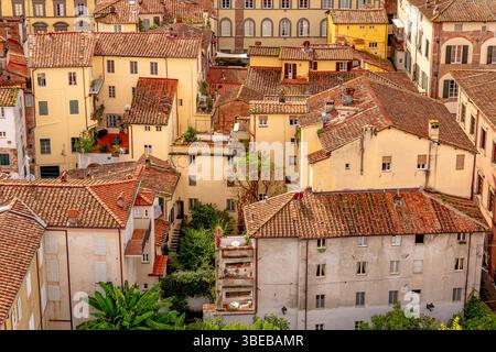 Dächer und Gebäude der Stadt Lucca, von der Spitze des Guinigi-Turms aus gesehen, Lucca, Toskana, Italien Stockfoto