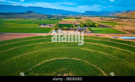 Luftzirkuläre bewässerte Ackerflächen und Patchwork-Felder mit Bergkulisse Stockfoto