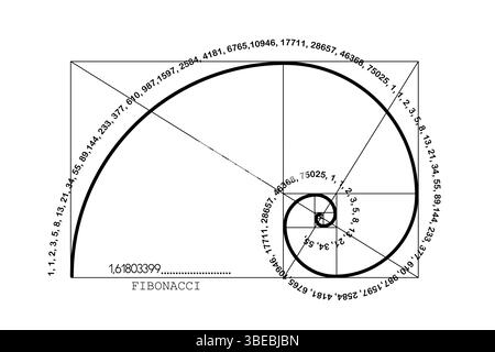 Fibonacci-Sequenzspirale. Goldenes Verhältnis. Geometrische Formen Kreise in goldener Proportion. Futuristisches minimalistisches Modedesign. Logo. Vektorsymbol Stock Vektor