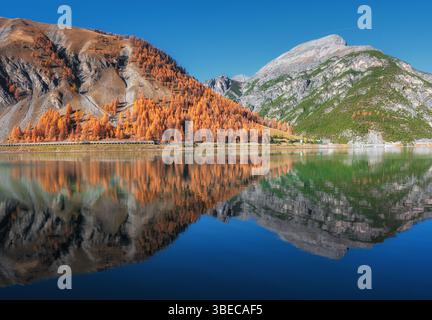 Atemberaubende Herbstlandschaft mit goldenen Lärchen, die die Hänge der Berge bedecken, spiegelt sich im ruhigen Wasser eines unberührten Bergsees unter einem cl Stockfoto