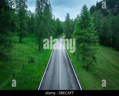 Aus der Vogelperspektive auf eine gewundene Asphaltstraße, die im Sommer durch einen lebhaften grünen Wald in den italienischen dolomiten führt. Blick auf die Bergroa von oben Stockfoto