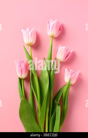 Weiche rosa Tulpen auf rosa Hintergrund. Alles Gute zum Muttertag, Ostern, Geburtstagskonzept. Stockfoto