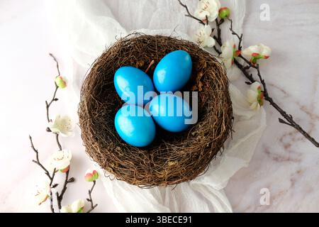 Blaue Vogeleier in einem Nest mit zarten weißen Blütenzweigen. Happy Easter-Konzept Stockfoto