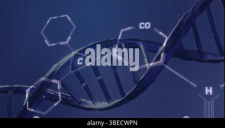 Bild chemischer Strukturen über dna-Strangspinnen Stockfoto