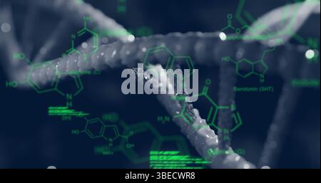 Bild chemischer Strukturen und Datenverarbeitung über dna-Strangspinnen Stockfoto