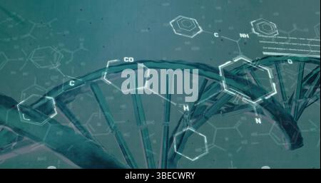 Bild chemischer Strukturen und Datenverarbeitung über dna-Strangspinnen Stockfoto