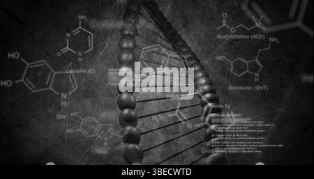 Bild chemischer Strukturen und Datenverarbeitung über dna-Strangspinnen Stockfoto