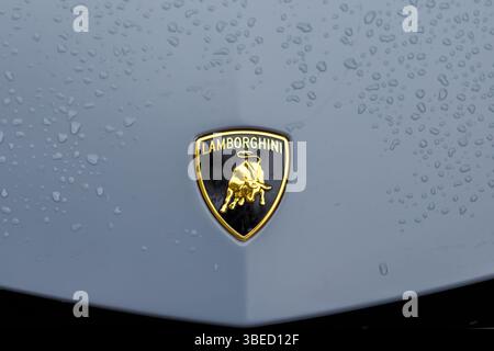 Nürnberg, Deutschland - 25. Mai 2025: Closev eines Lamborghini-Logos auf einer grauen Motorhaube, die mit Wassertropfen bedeckt ist. Das Logo ist Gold, Schwarz und Gelb. Stockfoto
