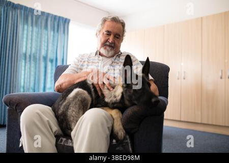 Ein älterer Mann sitzt im Sessel und streichelt Deutschen Schäferhund auf dem Schoß im Wohnzimmer mit blaugrünen Vorhängen Stockfoto