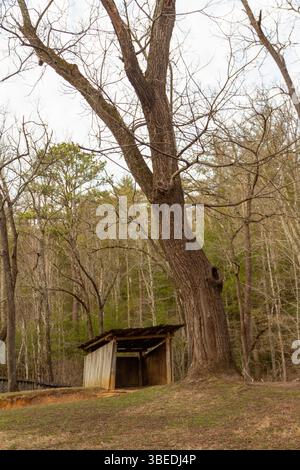 Eine Hütte am Creek, Cades Cove, Great Smoky Mountains National Park, Tennessee Stockfoto