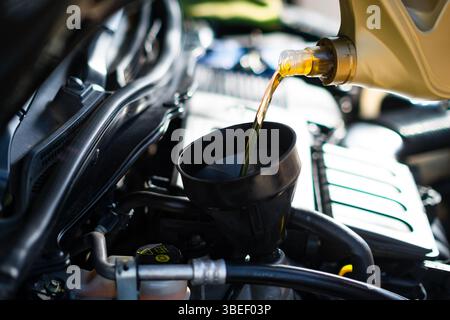 Sauberes neues Motoröl in den Fahrzeugmotor eingießen. Stockfoto
