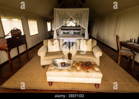 Innenraum eines Luxuszelt in einer teuren Lodge, Addo Elephant National Park, Südafrika. Stockfoto