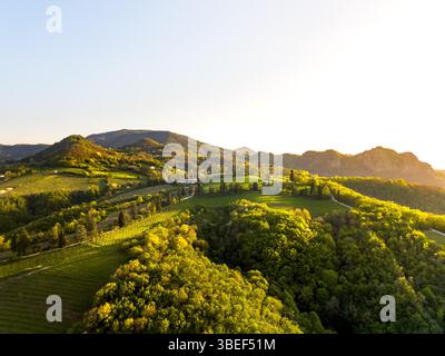 Blick aus der Vogelperspektive auf einen üppig grünen Wald auf einem Hügel vor dem Berg Monte Venda in den Hügeln von Colli Euganei mit untergehender Sonne, die warmes Licht wirft Stockfoto