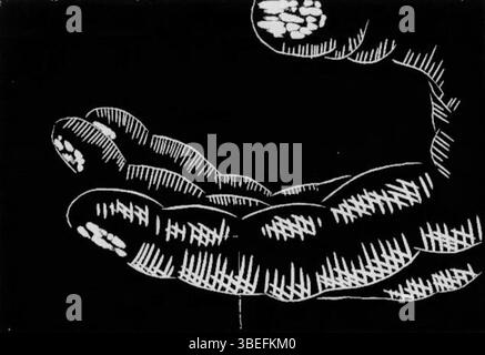 Ein Holzstich aus dem Jahr 1936 von Max Jiménez, der Kapitel 13 seines Romans El Domador de Pulgas illustriert. Dieses Stück ist ein Beispiel für Jiménez' Fähigkeit, erzählerische Emotionen durch detaillierte Gravurarbeiten in visuelle Form zu übersetzen. Stockfoto