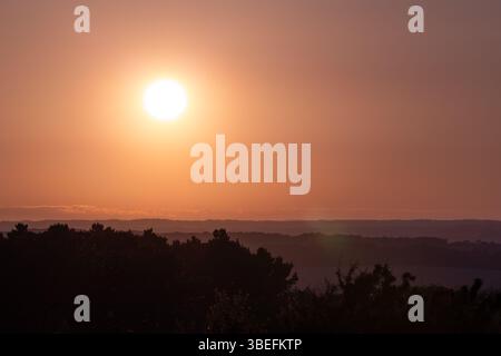 Waldschichten in Silhouette unter der glühenden Sonne bei Sonnenuntergang auf der Isle of Wight, England. Ein ruhiger und stimmungsvoller Sommerabend. Stockfoto