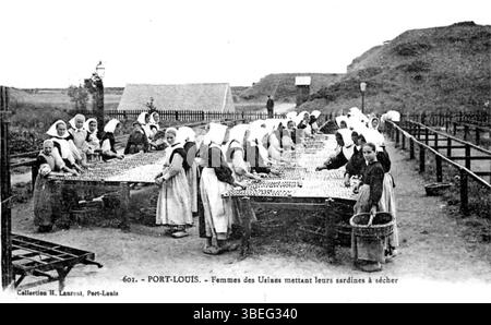 Eine Postkarte aus dem Jahr 1920 zeigt Frauen, die in den Fischtrocknungsfabriken in Port-Louis arbeiten. Diese Frauen werden beobachtet, wie sie Fische zum Trocknen auslegen, ein wichtiger Teil der lokalen Fischereiindustrie. Stockfoto