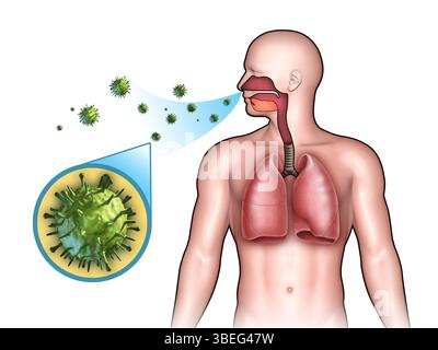 Irgendein Virus gelangt durch die Nase in das Atmungssystem. Digitale Illustration. Stockfoto