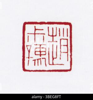 „8 Chinesisch: Vereinfachtes Chinesisch: Siegel“ zeigt ein geschnitztes Siegel, das in der chinesischen Kultur üblicherweise zur Markierung von Dokumenten oder Kunstwerken verwendet wird. Es enthält vereinfachte chinesische Schriftzeichen, die Eigentum, Authentizität und persönliche oder kulturelle Identität symbolisieren. Stockfoto