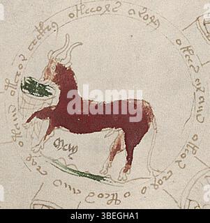 Dieses Detail aus f72r1 der Voynich-Handschrift zeigt das Stier-Emblem, das in rot gemalt ist, wie es von einer Krippe isst, ein Teil der Tierkreisabbildungen der Handschrift. Stockfoto
