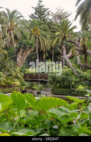 Üppiger Garten mit dichtem Grün einschließlich Palmen und einer Vielzahl exotischer, luxuriöser Flora mit einer dekorativen Holzbrücke im asiatischen Stil Stockfoto