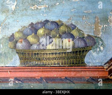 Das Fresko eines Figuskörbchens aus dem ersten Jahrhundert n. Chr., das in der Villa Poppaea in Oplontis, Italien gefunden wurde, zeigt die römische Wertschätzung für naturalistische Darstellung. Die lebendigen Farben und die detaillierte Darstellung der Feigen spiegeln die römische Meisterschaft in der Freskenmalerei und ihr Interesse am Alltag wider. Stockfoto