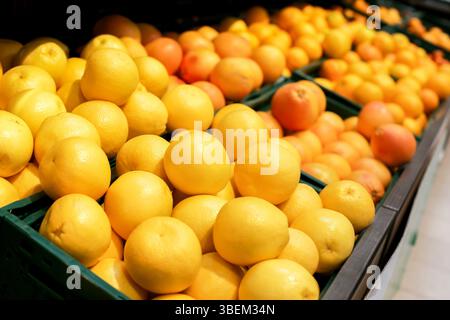 Orangen und Zitrusfrüchte. Buntes orangefarbenes, gelbes Display. Frische vitaminreiche gesunde Produkte. Lebensmittelmarkt mit Mandarinen. Stockfoto
