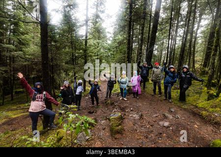 Eine vielfältige Gruppe begibt sich auf eine regnerische Wanderung durch einen üppigen, grünen Wald. In farbenfroher Ausrüstung sind sie für das nebelige Wetter gerüstet, bieten Abenteuer und Stockfoto