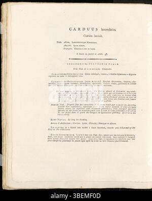 Eine botanische Illustration von Carduus lanceolatus, heute bekannt als Cirsium vulgare, aus der Sammlung Flora Batava, Platte 0273. Diese Pflanze, allgemein bekannt als Speerdistel, wurde 1822 von Jan Kops, einem niederländischen Botaniker, dokumentiert. Stockfoto