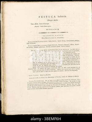 Eine detaillierte botanische Illustration aus *Flora Batava* (1822) von Jan Kops mit der Darstellung von *Festuca duriuscula*, heute als *Festuca Herzegovina agg.* klassifiziert. Die Platte zeigt die Eigenschaften der Pflanze, wie sie in französischer Sprache beschrieben sind. Stockfoto